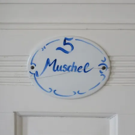 Muschel In Der Medici Apartament