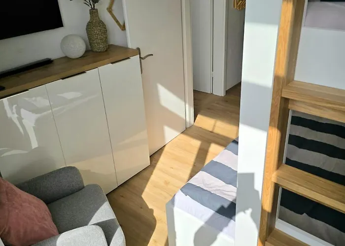 Muschel In Der Medici * Norderney